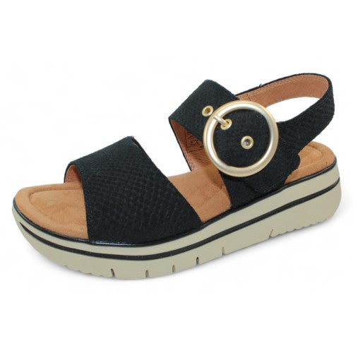 Women's Salvia Arlo Color: Black