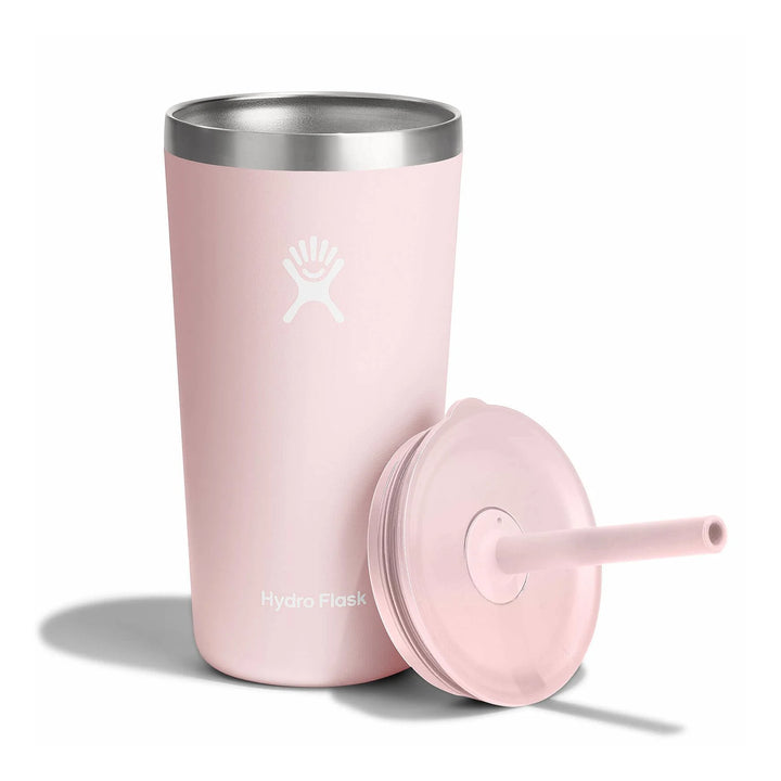 Hydro Flask 20 oz All Around Tumbler with Straw Lid Color: Trillium 5